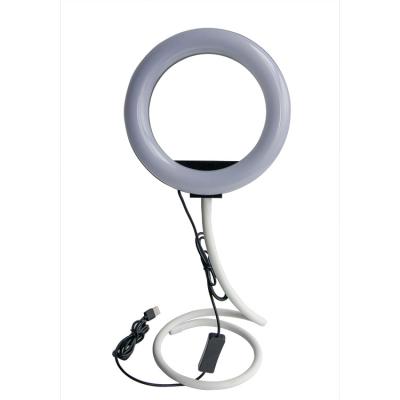 China 8 Inch Color White Gooseneck Photography Lamp Camera For Youtube Ring Light Makeup Led Visual for sale