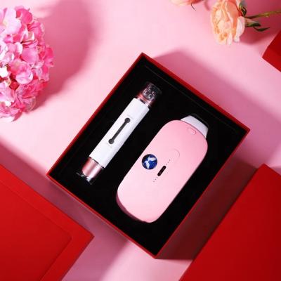 China A0028A 2021 Promotional Electric Passionate Agriculture Holding Belt Penpersonal Care Birthday Girls Custom Gift Set For Women for sale