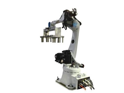 China Automated Robotic Bag Palletizer PLC control Carton Palletizer for sale