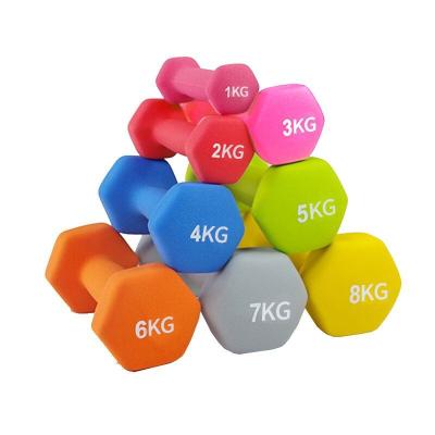 China Wholesale Durable Home Gym Online Color Cheap Wholesale Standard 10kg Rubber Hex Dumbbell for sale