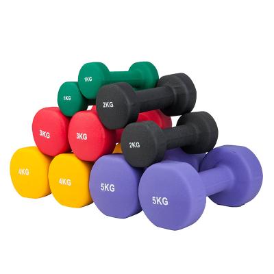 China Hot Home Use Factory Gym Equipment Dumbbell Set For Sale Fitness Equipment for sale