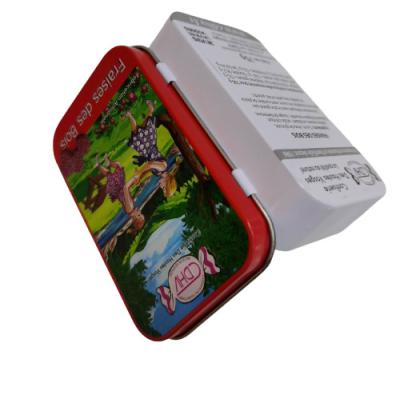 Chine Petite OIN rectangulaire SMETA de Tin Can Hinged Storage Tin de sucrerie à vendre