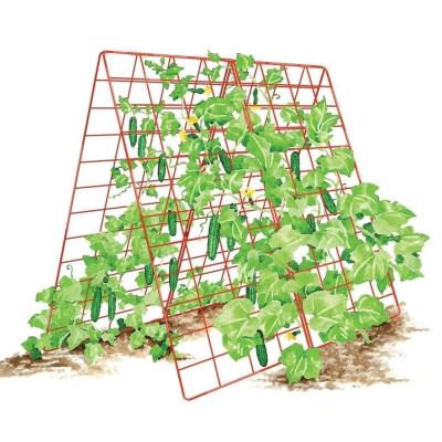 China Garden Plant Support Stakes Garden Trellis For Climbing Trellis Metal Wire Cucumber Trellis for sale