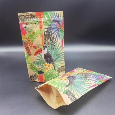 China Individuelle CTP-Druckverpackungstüten mit Kraftpapier-Zipper-Tränentaschen zu verkaufen