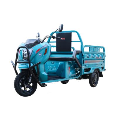 China Electric Cargo Tricycle Adults 3 Model Three Wheels 60v800w Electric Cargo Tricycle From Haibao China for sale