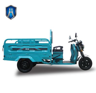 China Cheap Electric Three Wheel Farm Passenger Electric Tricycle Adults Electric Cargo Tricycle 35km/h for sale