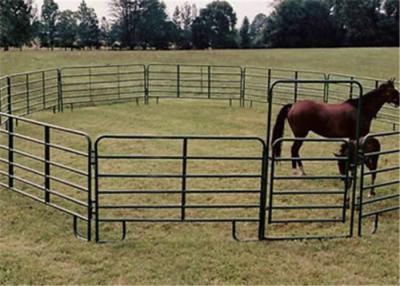 China 2.7m drijft het Hoogte Draagbare Paard bijeen, drijft het Sterke Structuur Gegalvaniseerde Paard Comités bijeen Te koop