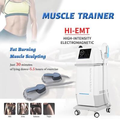 China 300W - 5000W body sculpting machine, body sculpting apparatuur 3 - 200HZ Te koop