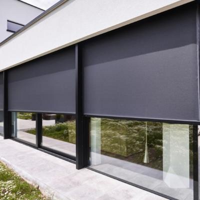 China Outdoor Waterproof UV Protection Zipper Screen Protector Motorized Roller Blinds for sale