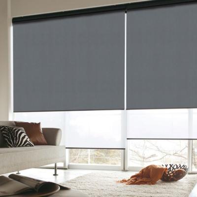 China Light Adjustment Adjustment SUNC Roller Curtain Window Double Day And Night Shade Light Roller Blinds for sale