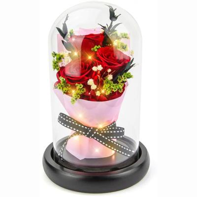 China April Fool's Day 3 Red Rose Preserved Infinity Real Flowers Fresh Beautiful Red Gifts 3 Years Forever Lasting Rose In Glass Dome Set for sale