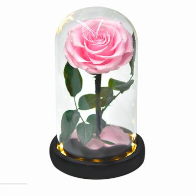 China 100% real fresh flower natural best quality one real natural everlasting preserved size 8-9 cm Rose Flower In Glass Dome handmade elegant romantic grade roses for sale