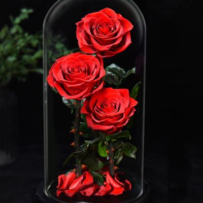 China 100% Fresh Flower Natural Handmade Preserved Flower Real Never Withered Roses, Rose For Love Ones For Eternal Mother's Day, Valentine's Day Holiday Present for sale