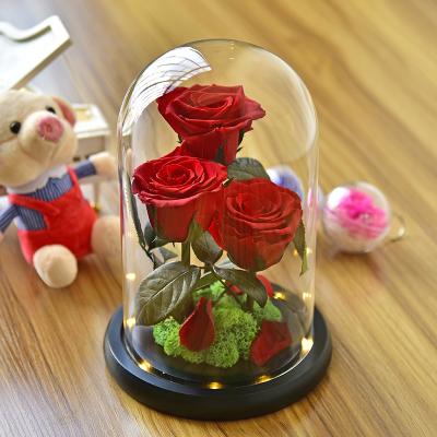 China 2022 Wholesale Environmental Protection Valentine Gift Real Natural Everlasting Green Immortal Flower Dried Forever Glass Floral Eternal Preserved Roses for sale