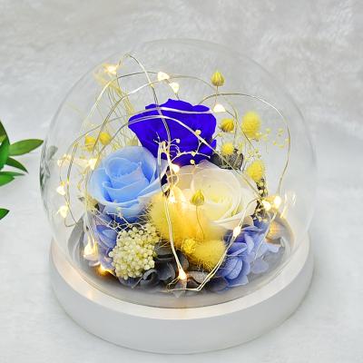 China New Real Eternal Popular Long Life Green Environmental Protection Stabilized Glass Dome Preserved Rose In Box for sale