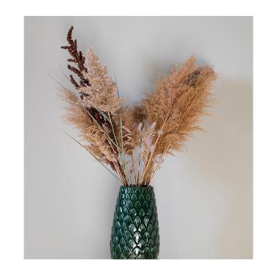 China Green Environmental Protection Amazon Success Decoration Dried Flowers Brown White For Pampas Grass Tall Pampas Grass For Home Or Weddings Decoration for sale