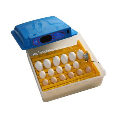 China Multifunction& LN2X-36 36 Full Automatic Mini Egg Incubator for sale