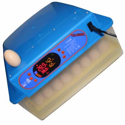 China Multifunction& LN2X-56 56 Full Automatic Egg Chicken Incubator And Egg Incubator for sale