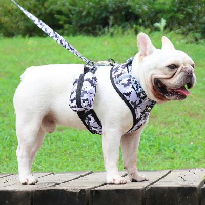 China INNO Stocked Pet Leash and Harness Set, Pet Harness and Leash Set, Adjustable Dog Harness Training Leash for sale