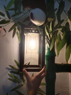 Cina IP65 impermeabile per la casa Lampada da giardino Sicurezza Luci notturne Lampada solare per pareti Lampada solare esterna in vendita