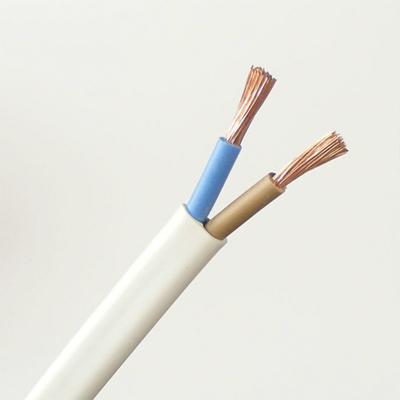 China Underground 2021 hot sale 2C*0.75mm flat wire twin and ground power cable factory direct sale for sale