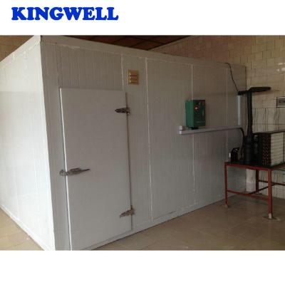 China Hotel Manufacturer Made Cold Room for Vegetable/Ice/Fish/Meat Cold Storage for sale