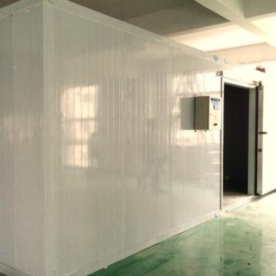 China Hotels Cold Room Complete Freezer Vegetable Fruit Fish Flesh Walk In Cold Storage Room Price for sale