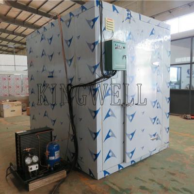 China Container Storage Room Glazed Insulation Panels Walk In Cold Room For Meat Fruits for sale