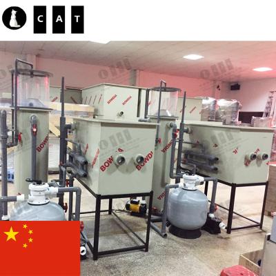 China Fish Farm Fujian Project Biofloc Tank Fish Farming Filter RAS Recirculating Aquaculture System for sale