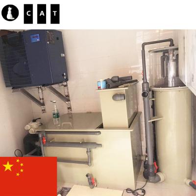 China Seafood Supermarket Hong Kong Project Supermarket Seafood Appearance Mini Small RAS Fish Recirculating Aquaculture System Live System for sale