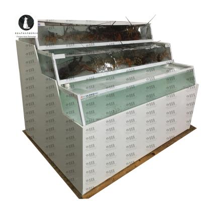 China Fish Farm Supermarket Live Fish Containers /Fresh Fish Display With Ras System for sale