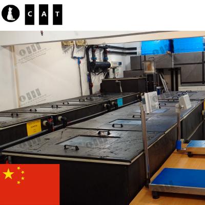 China Australia Indoor Lobster Treatment Water Aquaculture Fish Farming RAS Indoor Agricultural Recycling Systems for sale