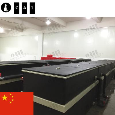 China Industrial RAS System Shanghai Project High Density Aquaculture Fish Feeding System Indoor Lobster Farm System for sale