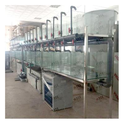 China Aquaculture Ras Fish Tank System Recycling for Laboratory CAT-LAB-RAS Room for sale