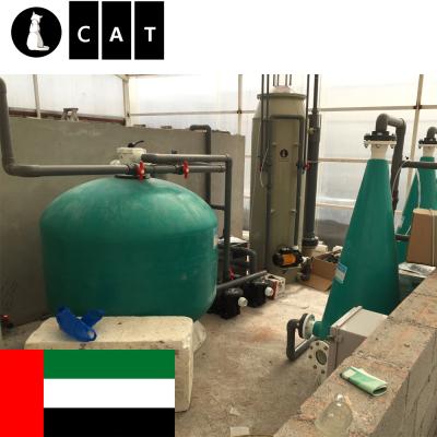 China UAE Dubai Project Advanced Indoor Catfish Farm Equipment Tilaipia Fish Farming Equipment 50m3/hr for sale