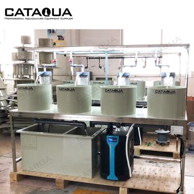 China Easy Fish Farming Ras Cat Fish Incubator Hatchery Egg Hatching Machine for sale