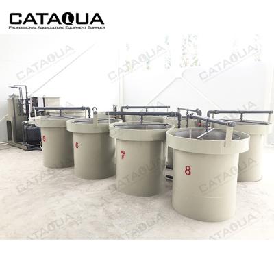 China Automatic Egg Hatchery Eqipment Acuicultura Ras Hatchery Eggs Hatching Machine Seawater Aquaculture Fish Farming Operation for sale