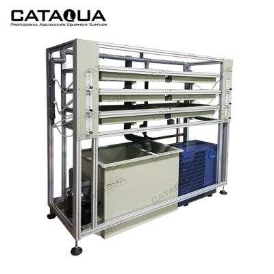 China Commercial Fish Farming Incubation Shelf Type Egg Hatching Machine Water Treatment Machinery Incubators For Hatching Eggs for sale