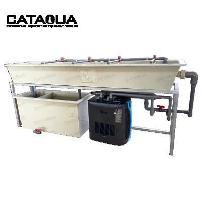 China Automatic Fish Farm Bed Type High Hatch Fish Hatchery Equipment Rate Trout Farming Equipment Commercial For Sale for sale