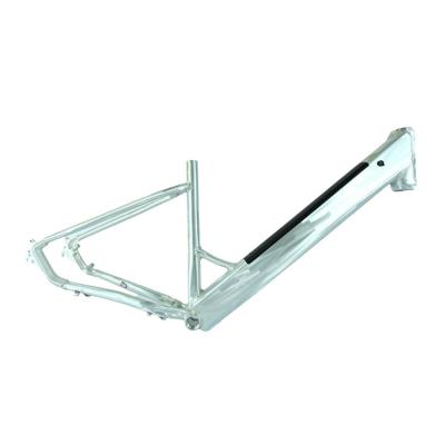 China Standard Electric Mountain Bikes Frame Manufacture Supply Folding E-Bike Frame for sale