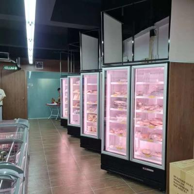 China Single-temperature upright showcase for commercial supermarket freezer for frozen food ice cream for sale