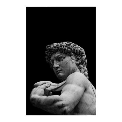 China Minimalist David Statue Picture Black Art Print Photo Canvas Printing Custom Luxury Home Wall Decor for sale