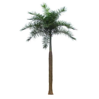 China Natural Heavy Duty Synthetic Royal Cocos Tree Fiberglass Weather Decoration Artificial Palm Tree For Uzbekistan for sale