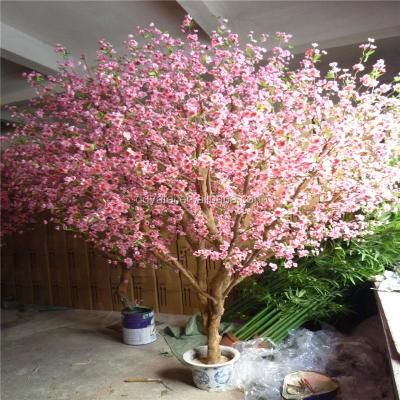 China Artificial Fiberglass Peach Blossom Wide Spreading Tree With Pottery Pot for sale