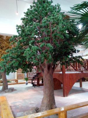 China For indoor and outdoor decoration 3-5 meters artificial pine on sale, artificial trees on sale for sale