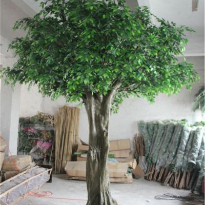 China Eco - Friendly Factory Supply Tall Artificial Banyan Trees Decorative High Quality Indoor / Outdoor for sale