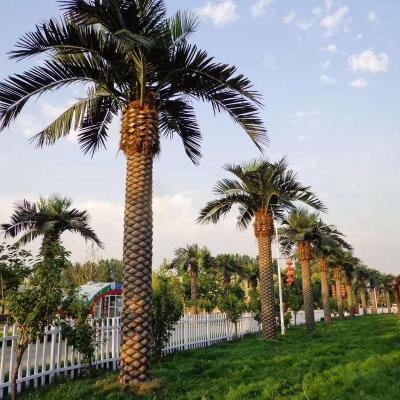 China Wholesale Decorative Outdoor Plastic Bark Coconut Artificial Palm Tree for sale