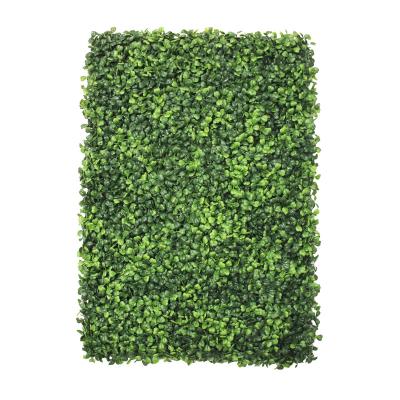 China Eco-friendly Lawn Turf Wedding Decoration Green Wall System Landscape Garden Wall Artificial Grass for sale