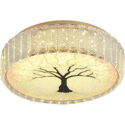 China Europe Factory Supply New Simple Modern Lighting Indoor Ceiling Lamp for sale