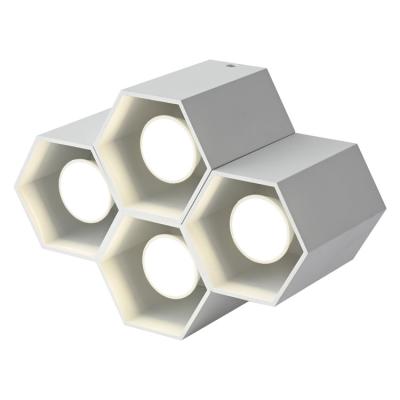 China Europe Designer Lights Simple Modern Style Room Lamps Hexagon For Ceiling Down Light for sale